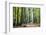 Autumn Walk-Philippe Manguin-Framed Photographic Print