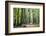 Autumn Walk-Philippe Manguin-Framed Photographic Print