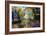 Autumn Walk-John Rivera-Framed Photographic Print