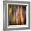 Autumn Walk-Ursula Abresch-Framed Premium Photographic Print