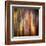 Autumn Walk-Ursula Abresch-Framed Premium Photographic Print