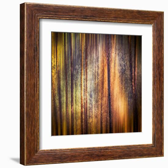 Autumn Walk-Ursula Abresch-Framed Premium Photographic Print