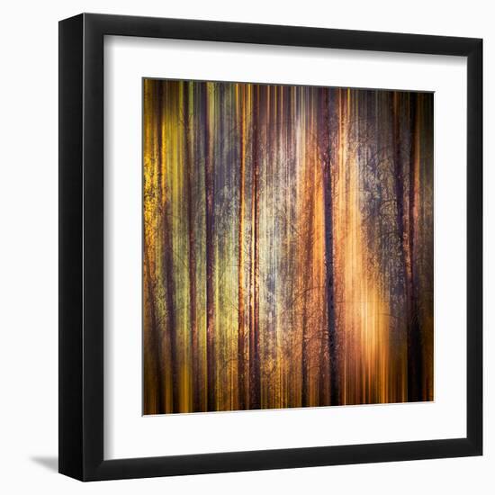 Autumn Walk-Ursula Abresch-Framed Premium Photographic Print