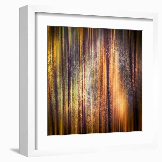 Autumn Walk-Ursula Abresch-Framed Premium Photographic Print