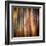 Autumn Walk-Ursula Abresch-Framed Premium Photographic Print