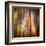 Autumn Walk-Ursula Abresch-Framed Premium Photographic Print