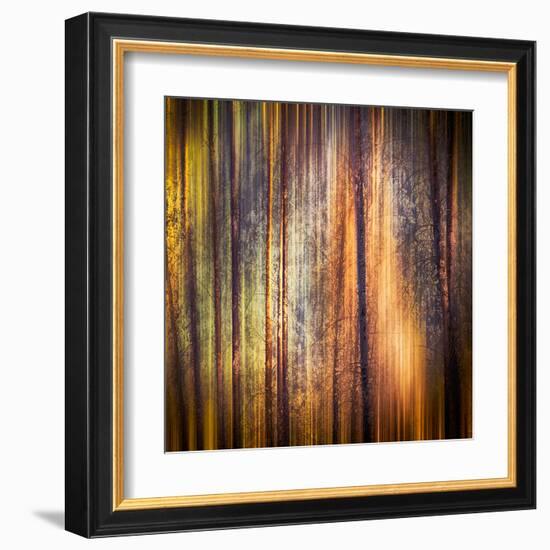 Autumn Walk-Ursula Abresch-Framed Premium Photographic Print