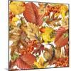 Autumn Watercolor Background Colorful Leaves. W-Dabrynina Alena-Mounted Art Print