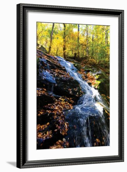 Autumn Waterfall I-Alan Hausenflock-Framed Photographic Print