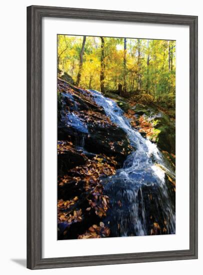 Autumn Waterfall I-Alan Hausenflock-Framed Photographic Print