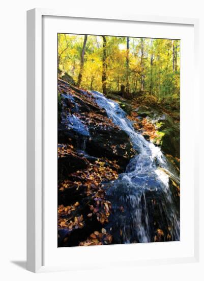 Autumn Waterfall I-Alan Hausenflock-Framed Photographic Print