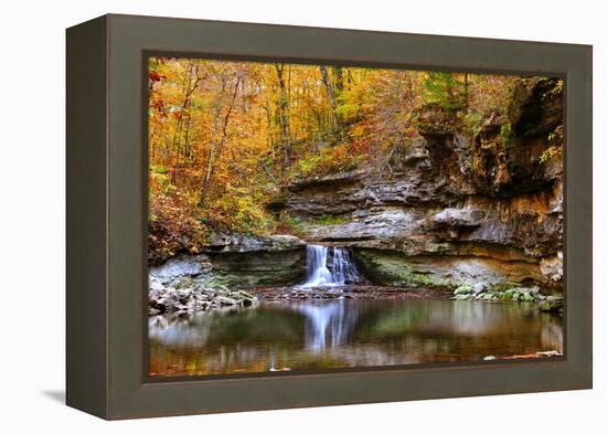 Autumn waterfall in McCormics Creek State Park, Indiana, USA-Anna Miller-Framed Premier Image Canvas