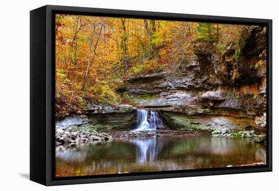 Autumn waterfall in McCormics Creek State Park, Indiana, USA-Anna Miller-Framed Premier Image Canvas