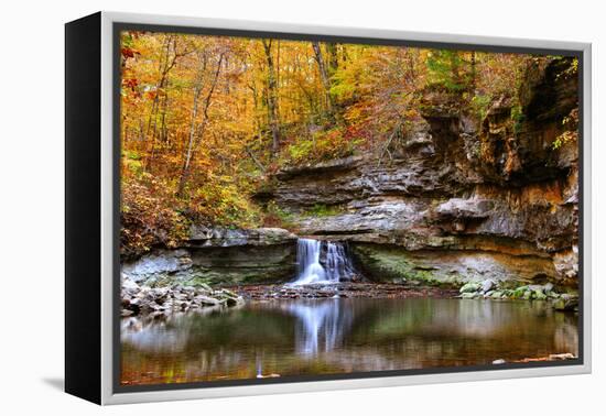 Autumn waterfall in McCormics Creek State Park, Indiana, USA-Anna Miller-Framed Premier Image Canvas