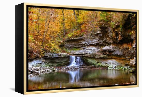 Autumn waterfall in McCormics Creek State Park, Indiana, USA-Anna Miller-Framed Premier Image Canvas