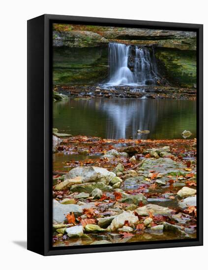 Autumn waterfall in McCormics Creek State Park, Indiana, USA-Anna Miller-Framed Premier Image Canvas