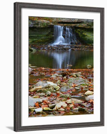 Autumn waterfall in McCormics Creek State Park, Indiana, USA-Anna Miller-Framed Photographic Print