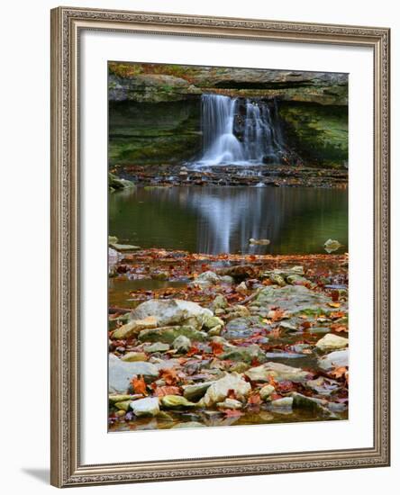 Autumn waterfall in McCormics Creek State Park, Indiana, USA-Anna Miller-Framed Photographic Print