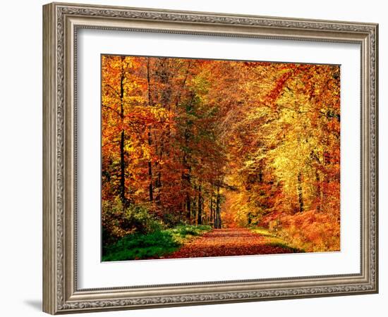 Autumn Way-Philippe Sainte-Laudy-Framed Photographic Print
