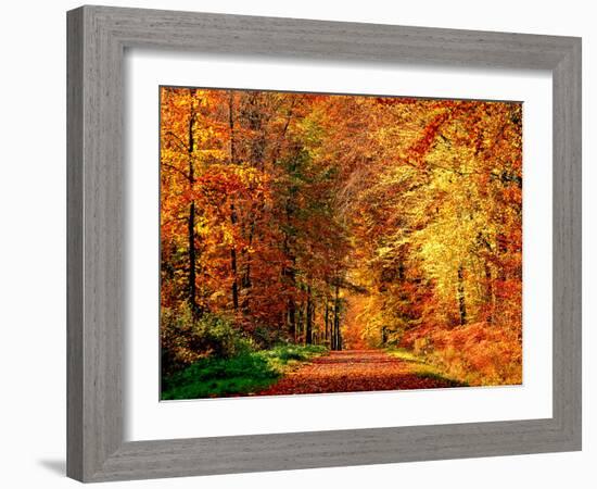 Autumn Way-Philippe Sainte-Laudy-Framed Photographic Print