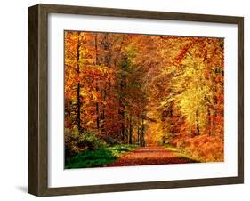 Autumn Way-Philippe Sainte-Laudy-Framed Photographic Print