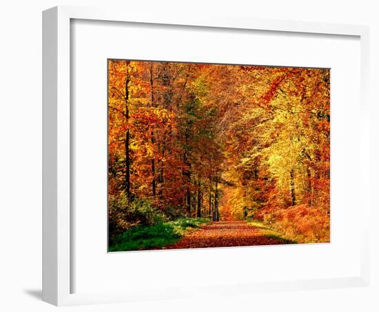 Autumn Way-Philippe Sainte-Laudy-Framed Photographic Print