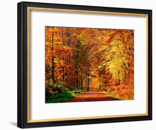 Autumn Way-Philippe Sainte-Laudy-Framed Photographic Print