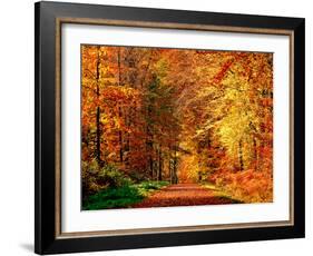 Autumn Way-Philippe Sainte-Laudy-Framed Photographic Print