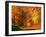 Autumn Way-Philippe Sainte-Laudy-Framed Photographic Print