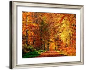 Autumn Way-Philippe Sainte-Laudy-Framed Photographic Print