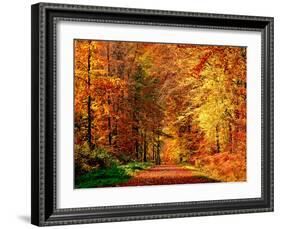 Autumn Way-Philippe Sainte-Laudy-Framed Photographic Print