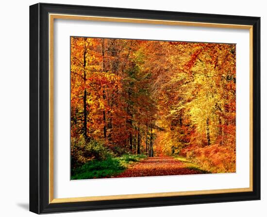 Autumn Way-Philippe Sainte-Laudy-Framed Photographic Print