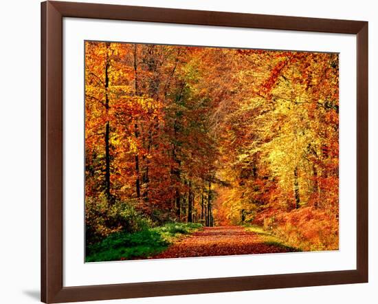 Autumn Way-Philippe Sainte-Laudy-Framed Photographic Print