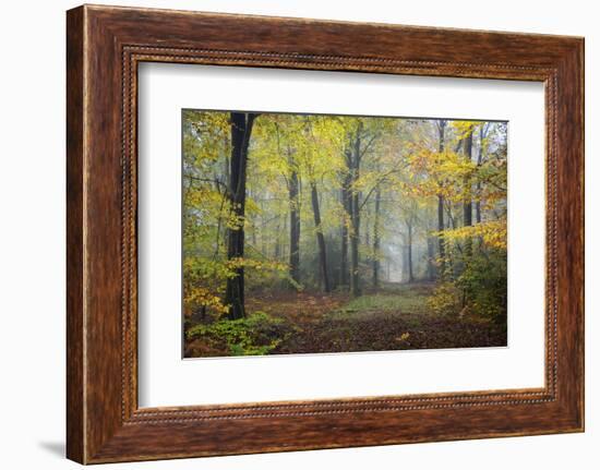 Autumn Way-Philippe Manguin-Framed Photographic Print