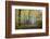 Autumn Way-Philippe Manguin-Framed Photographic Print