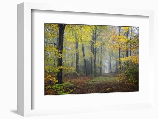 Autumn Way-Philippe Manguin-Framed Photographic Print