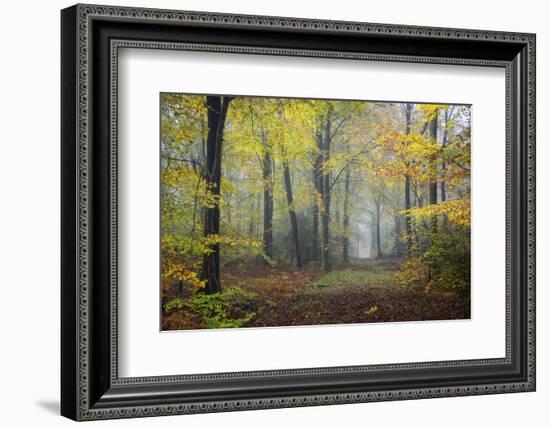 Autumn Way-Philippe Manguin-Framed Photographic Print