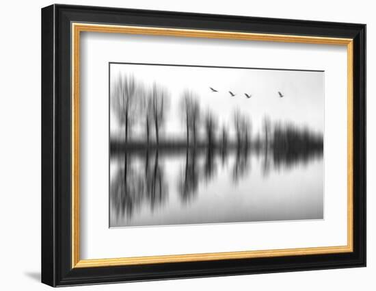 Autumn Weather, Autumn Mood-Yvette Depaepe-Framed Photographic Print