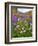 Autumn Wildflowers, White Mountains, New Hampshire-George Oze-Framed Photographic Print