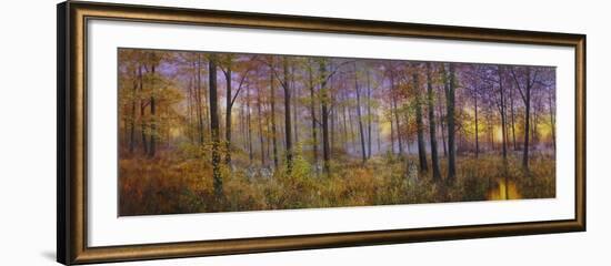 Autumn Wolves-Bill Makinson-Framed Giclee Print