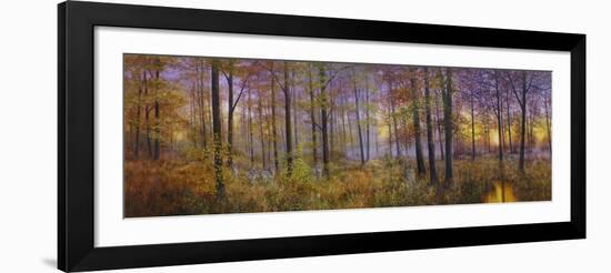 Autumn Wolves-Bill Makinson-Framed Giclee Print