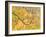 Autumn Wood, Cairngorms National Park, Highlands, Scotland, UK-Nadia Isakova-Framed Photographic Print