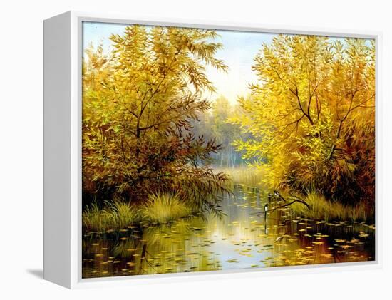 Autumn Wood Lake With Trees And Bushes-balaikin2009-Framed Stretched Canvas