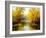 Autumn Wood Lake With Trees And Bushes-balaikin2009-Framed Art Print