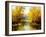 Autumn Wood Lake With Trees And Bushes-balaikin2009-Framed Art Print