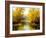 Autumn Wood Lake With Trees And Bushes-balaikin2009-Framed Art Print