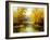 Autumn Wood Lake With Trees And Bushes-balaikin2009-Framed Art Print