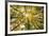 Autumn Wood-Nathan Secker-Framed Giclee Print