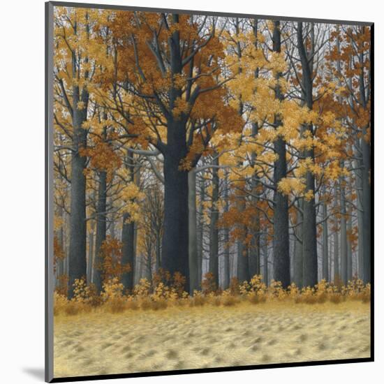 Autumn Wood-Timothy Arzt-Mounted Art Print