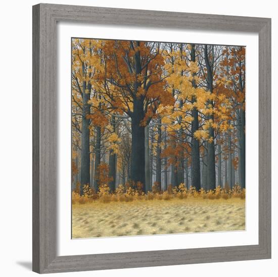 Autumn Wood-Timothy Arzt-Framed Art Print